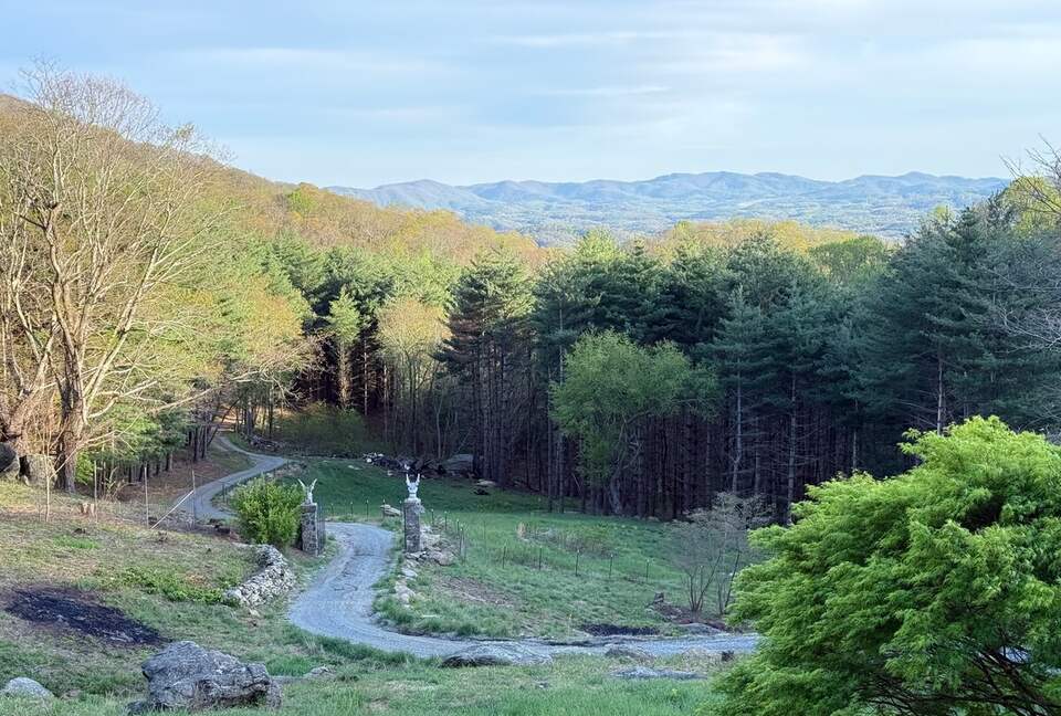 Luxury Mountain Getaway on 220 Acres with Trails & Private Pond - Independence, Virginia