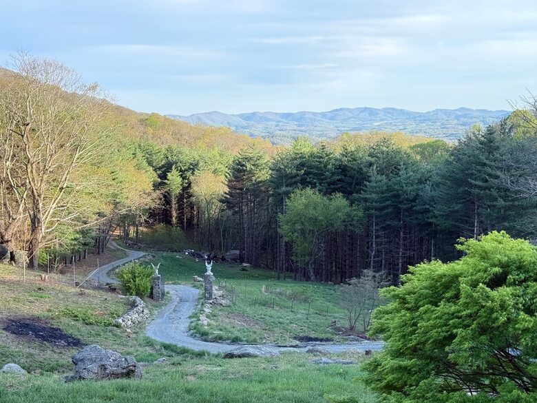 Luxury Mountain Getaway on 220 Acres with Trails & Private Pond - Independence, Virginia