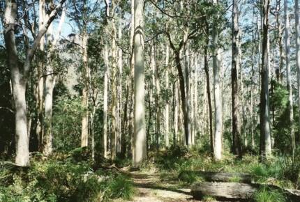 Nature-Infused Luxury in Victoria’s Highlands - Wheatsheaf, Australia