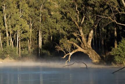 Nature-Infused Luxury in Victoria’s Highlands - Wheatsheaf, Australia