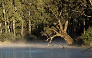 Nature-Infused Luxury in Victoria’s Highlands - Wheatsheaf, Australia