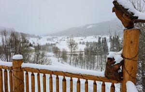 Elevated Living Minutes from Yellowstone & Grand Teton - Jackson, Wyoming