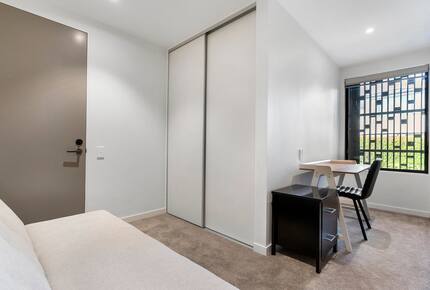 Sunny Mission Bay Escape - Mission Bay, New Zealand