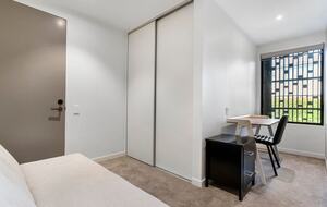 Sunny Mission Bay Escape - Mission Bay, New Zealand