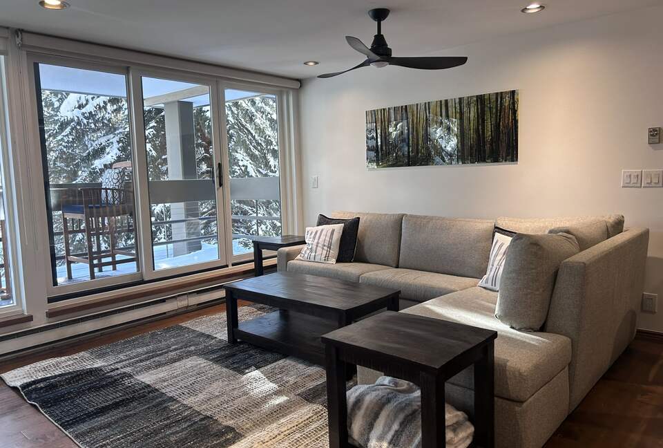 Alpine Comfort in Vail - Vail, Colorado