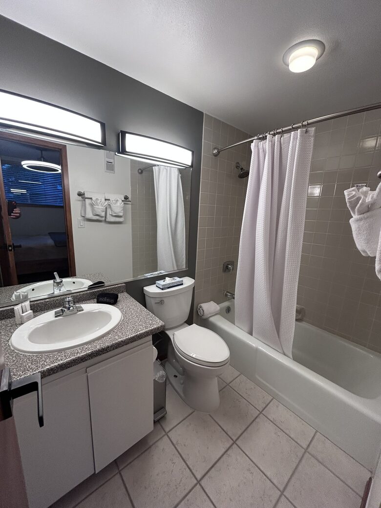 Alpine Comfort in Vail - Vail, Colorado