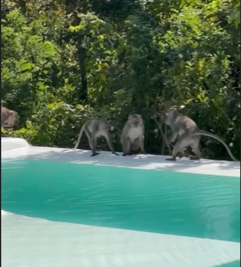 Elegant Uluwatu Escape Near Nyang Nyang Beach - "THE LAGOON " - Bali, Indonesia