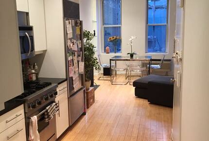 Chic NYC Apartment - New York, New York