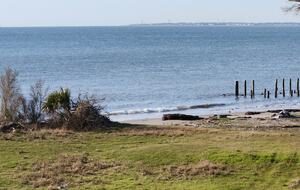 Private beach with direct access to Daufuskie's beachs