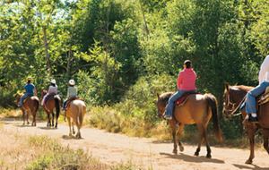 The Grand Del Mar - San Diego, California