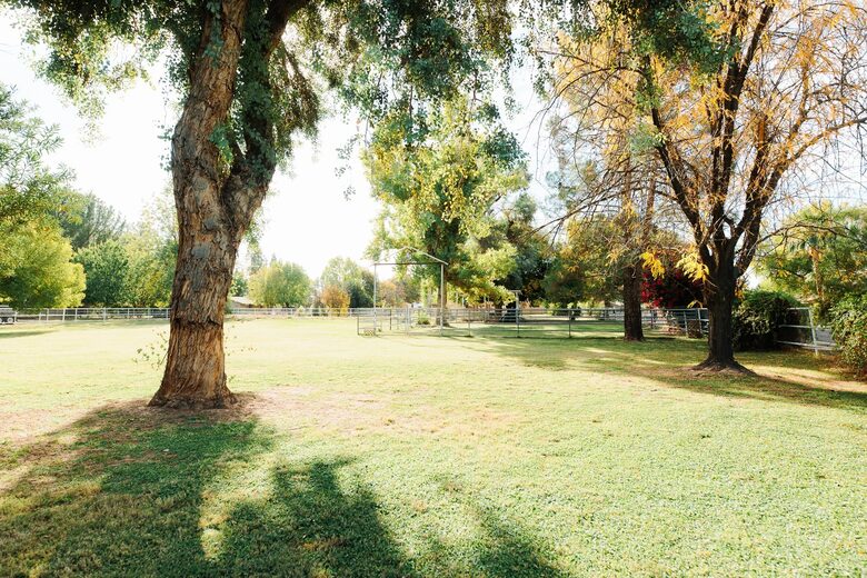 Elegant Ranch Oasis with Orchard - Gilbert, Arizona