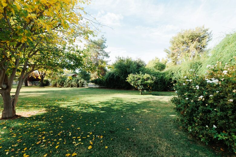 Elegant Ranch Oasis with Orchard - Gilbert, Arizona