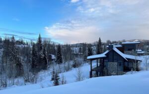 View from back porch