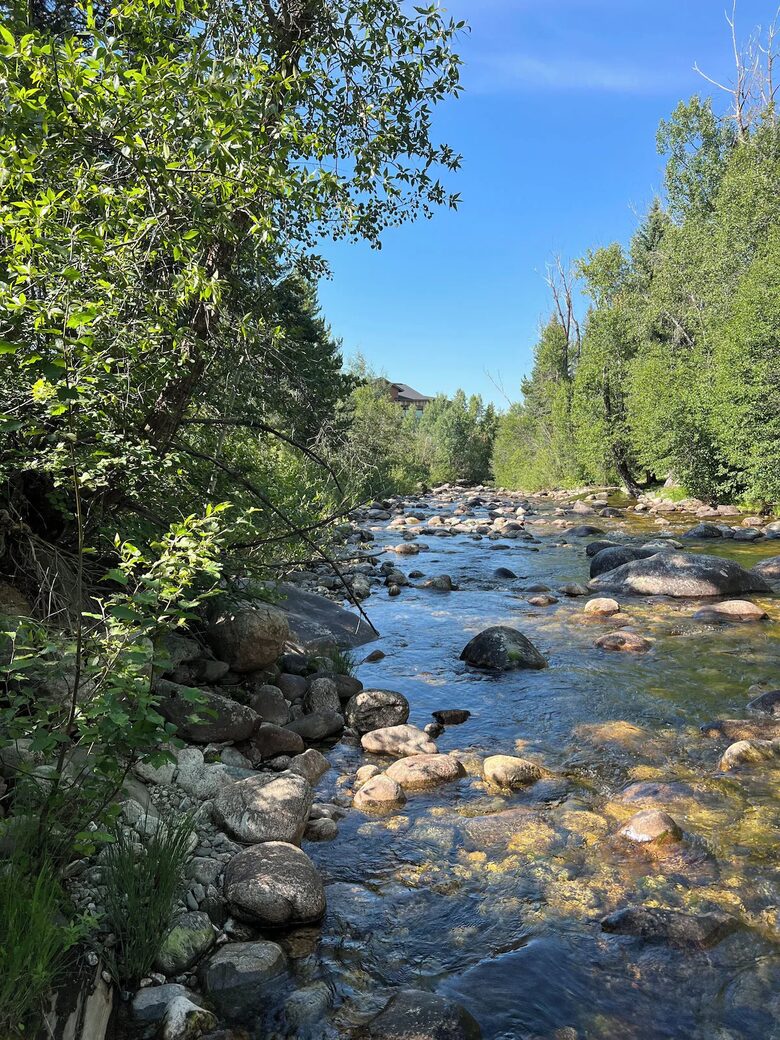 Elevated Comfort in Steamboat Springs - Steamboat Springs, Colorado