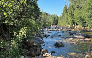 Elevated Comfort in Steamboat Springs - Steamboat Springs, Colorado