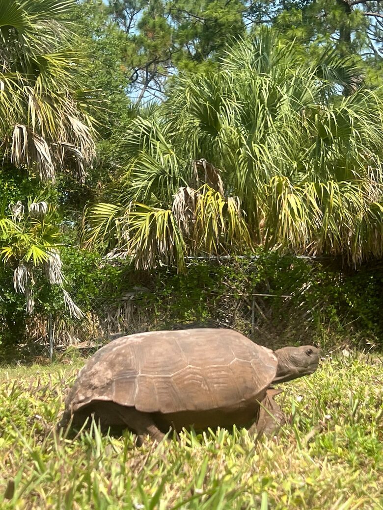 Naples Beach Escape with Saltwater Pool - Naples, Florida