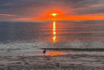 Naples Beach Escape with Saltwater Pool - Naples, Florida