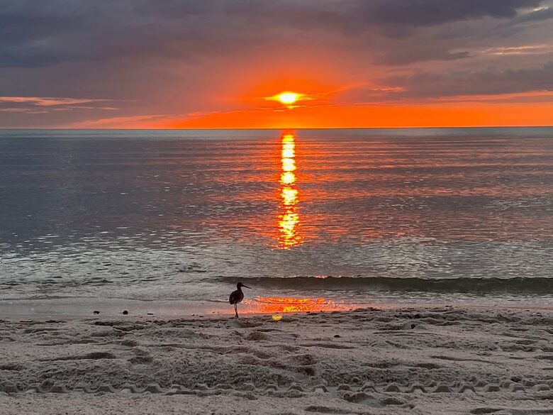 Naples Beach Escape with Saltwater Pool - Naples, Florida