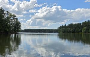 Serenity Cove Retreat - Tignall, Georgia