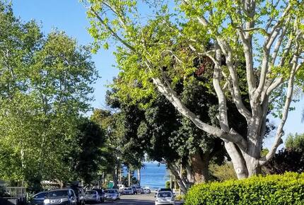 Seaside Charm in Pismo Beach - Pismo Beach, California