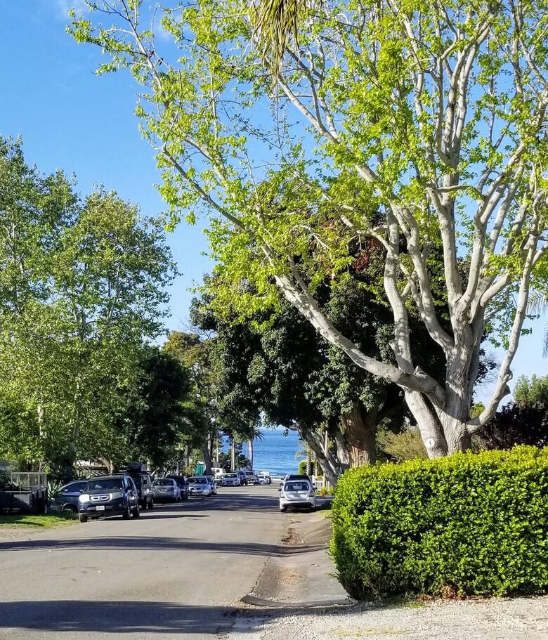 Seaside Charm in Pismo Beach - Pismo Beach, California