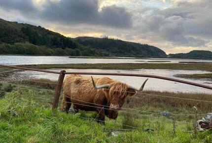 The Classrooms, Loch Ness Abbey, Pool & Spa - Fort Augustus, United Kingdom