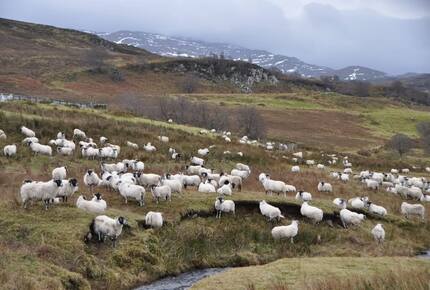 The Classrooms, Loch Ness Abbey, Pool & Spa - Fort Augustus, United Kingdom