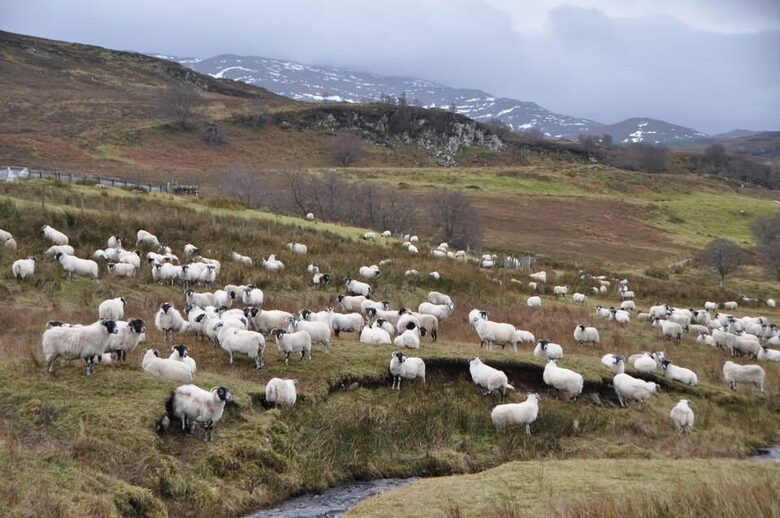 The Classrooms, Loch Ness Abbey, Pool & Spa - Fort Augustus, United Kingdom