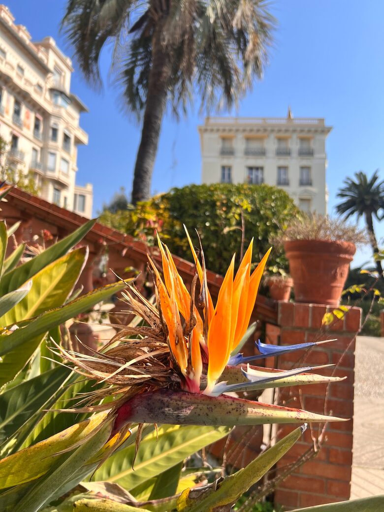 Belle Époque Restomod Apartment - Menton, France