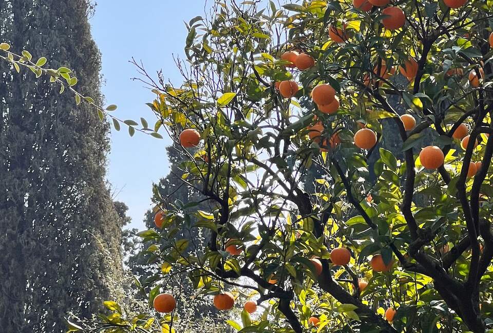 Belle Époque Restomod Apartment - Menton, France