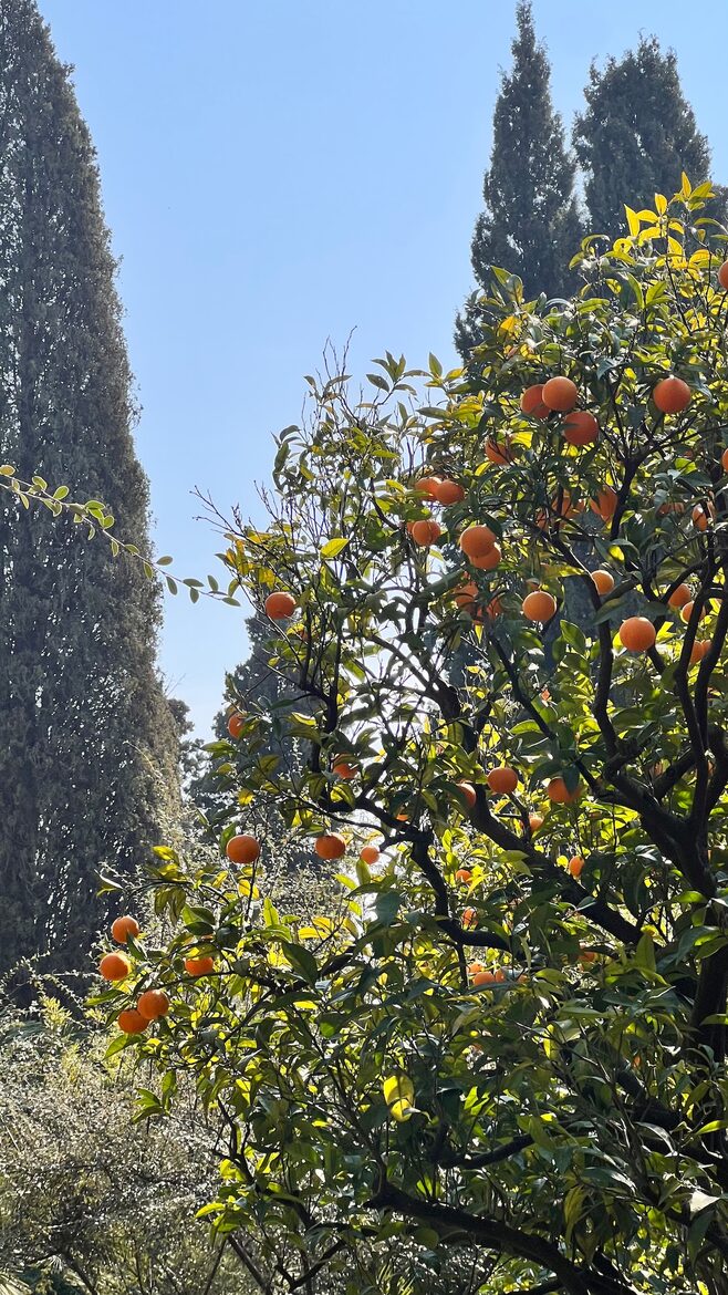 Belle Époque Restomod Apartment - Menton, France
