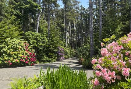 Cliffside Elegance on the Pacific - Pacific Beach, Washington