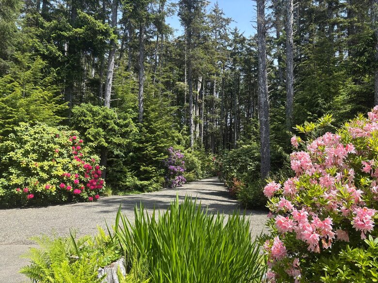 Cliffside Elegance on the Pacific - Pacific Beach, Washington