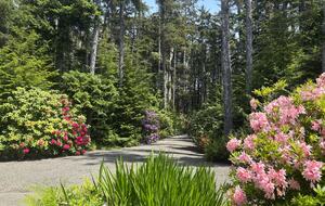 Cliffside Elegance on the Pacific - Pacific Beach, Washington