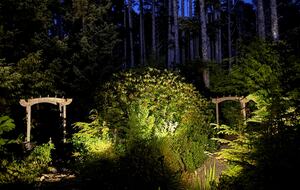 Cliffside Elegance on the Pacific - Pacific Beach, Washington