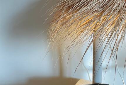 Exquisite Stone Villa Surrounded by Olive Groves in Gordes - Gordes, France