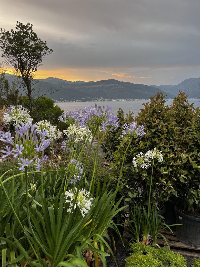 Cube A2: Modern Design Meets Montenegro’s Coastline - Krašići, Montenegro