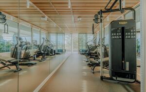 Skyline Horizons at Kirra Beach - Gold Coast, Australia