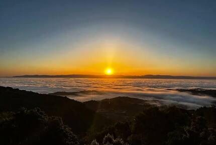Santa Cruz Mountain Vineyard Villa - Cupertino, California