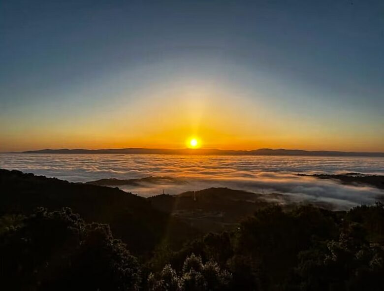 Santa Cruz Mountain Vineyard Villa - Cupertino, California