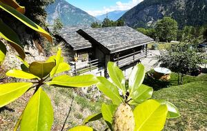 Mazot Agora – Alpine Charm & Nordic Spa - Salvan, Switzerland