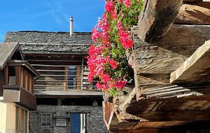 Mazot Agora – Alpine Charm & Nordic Spa - Salvan, Switzerland