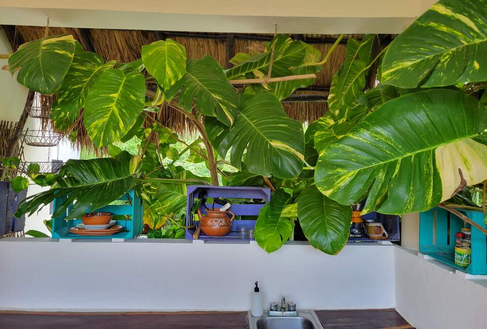 Upscale Nature-Inspired Residence in Tulum - Tulum, Mexico