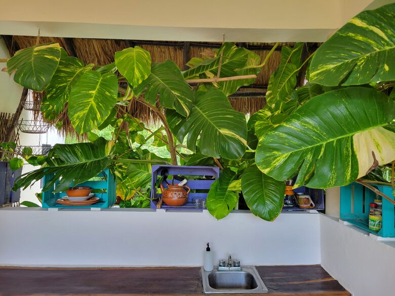 Upscale Nature-Inspired Residence in Tulum - Tulum, Mexico