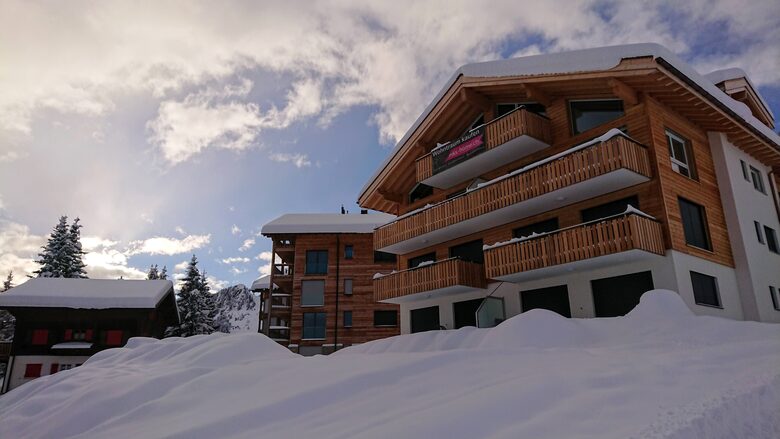 Modern Apartment in Chalet with Panoramic Mountain Views - Riederalp, Switzerland