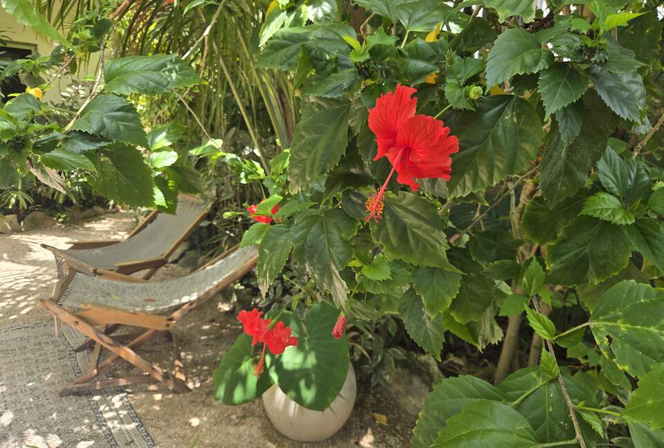 Upscale Nature-Inspired Residence in Tulum - Tulum, Mexico