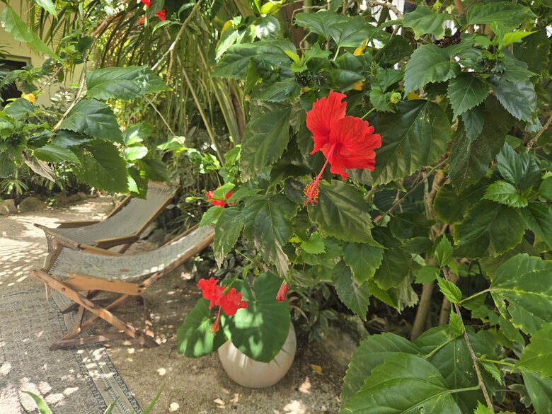 Upscale Nature-Inspired Residence in Tulum - Tulum, Mexico