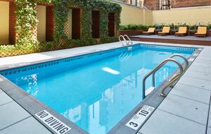 Walnut & Glass Urban Haven - New York City, New York