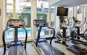 Walnut & Glass Urban Haven - New York City, New York