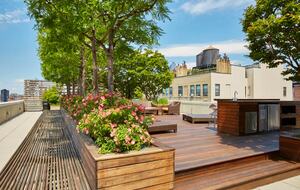 Walnut & Glass Urban Haven - New York City, New York